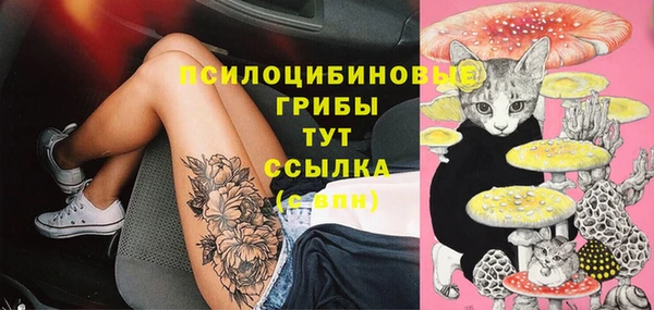 скорость Нягань