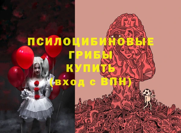 не бодяженный Абаза